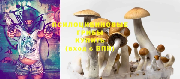 соль ск Балахна