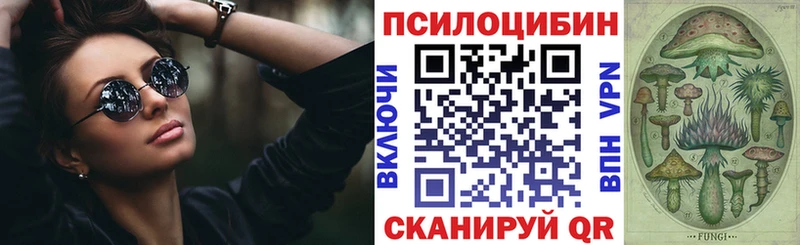 Псилоцибиновые грибы Cubensis  Североуральск 